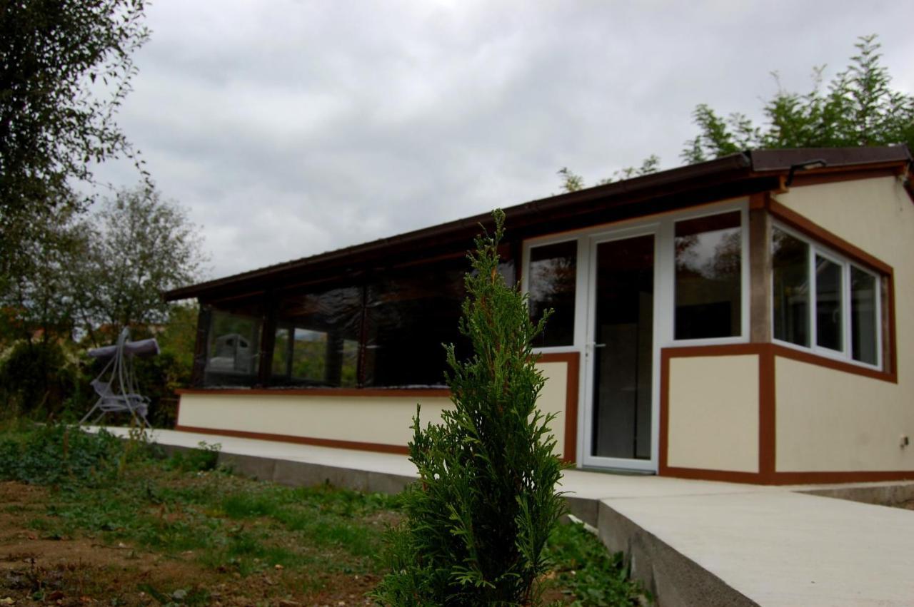 Vila Phoenix Calimanesti Exterior photo
